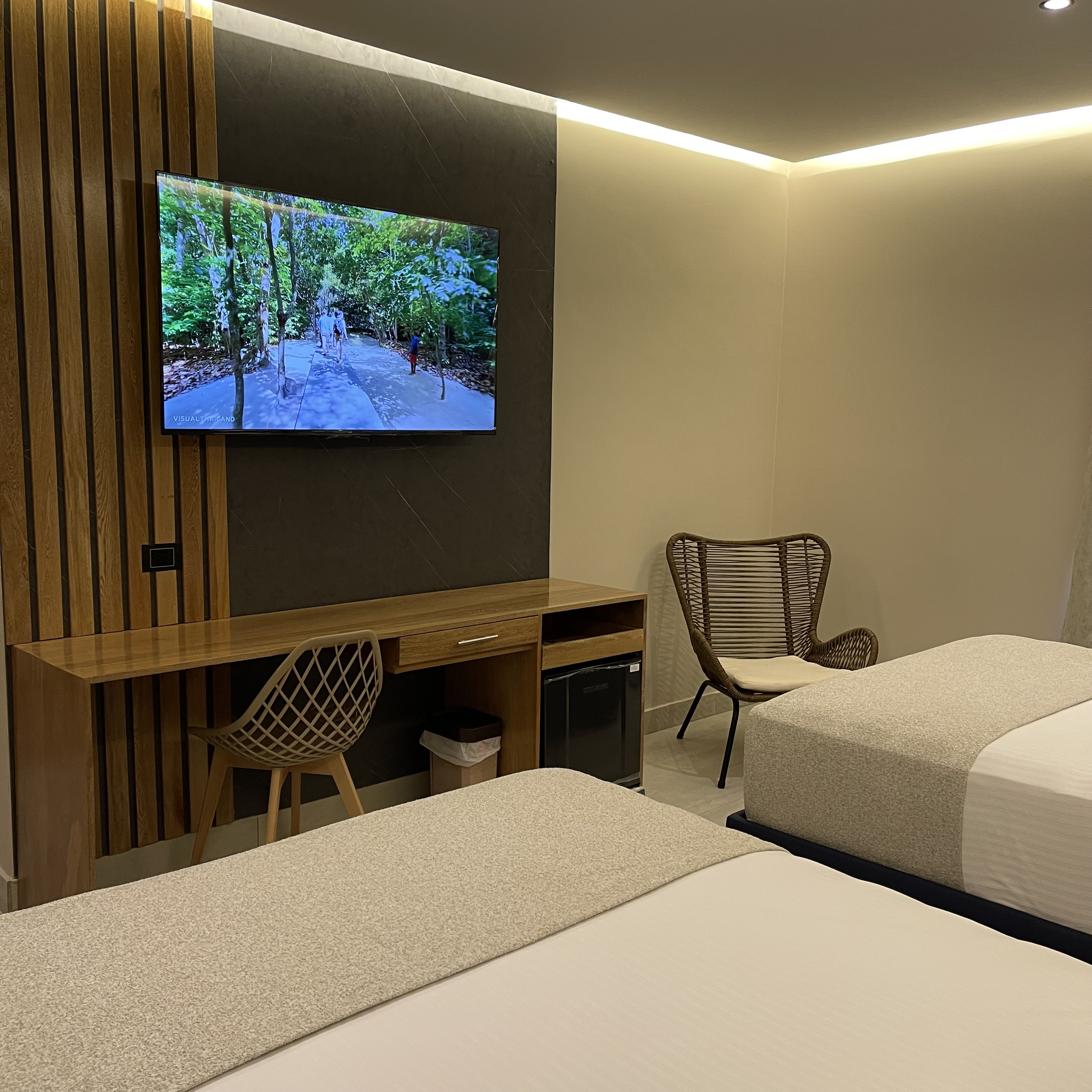 Habitación 210